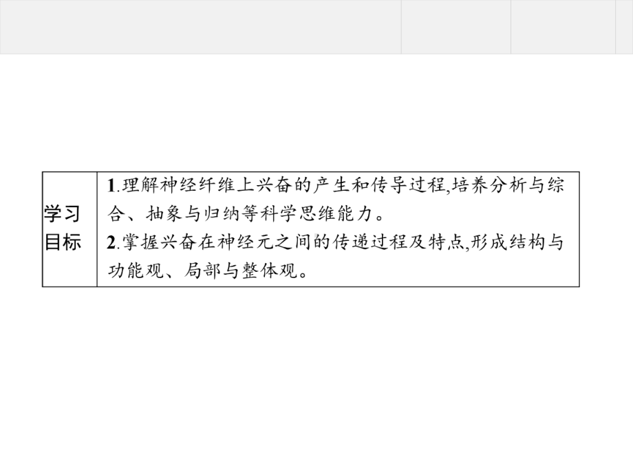 神经冲动的产生和传导教学课件1.pptx_第2页