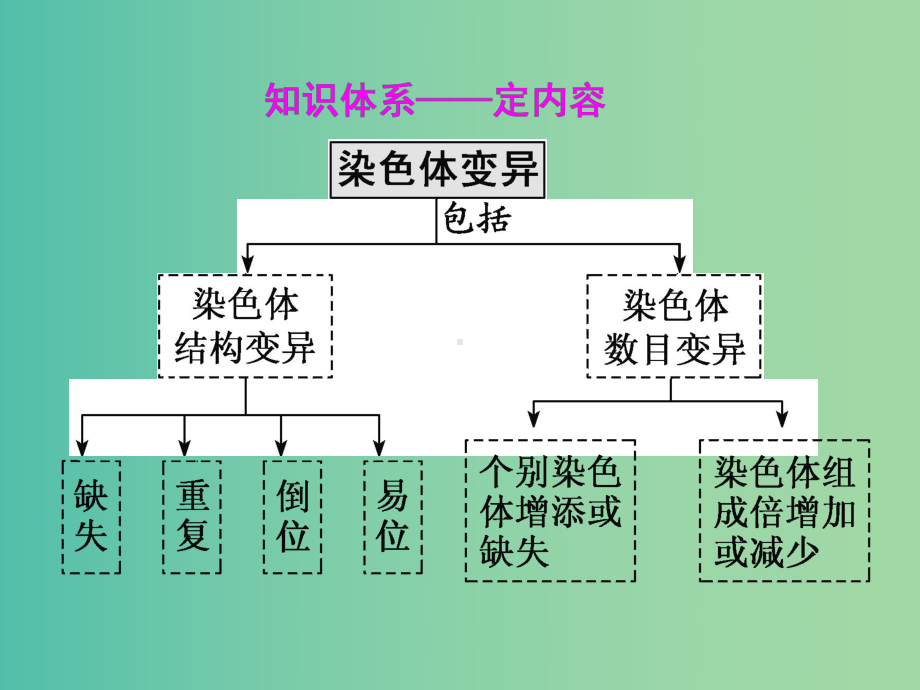 高考生物一轮复习第七单元基因突变和基因重组第二讲染色体变异与生物育种精盐件课件.ppt_第3页