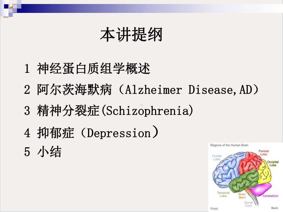 神经系统的蛋白质组学培训课件.pptx_第1页