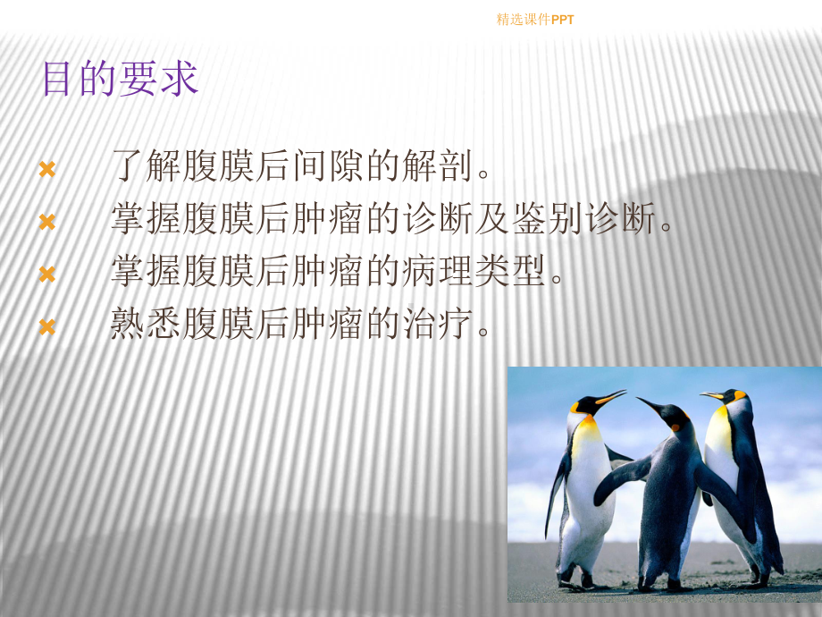 腹膜后肿瘤--课件.ppt_第2页