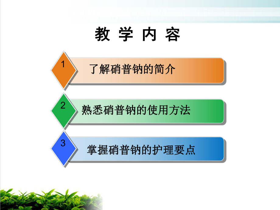 硝普钠的护理完整版课件.ppt_第2页