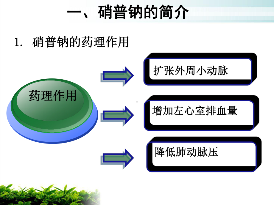 硝普钠的护理完整版课件.ppt_第3页