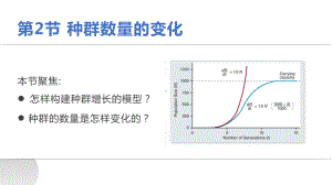 1-2 种群数量的变化ppt课件-2022新人教版（2019）《高中生物》选择性必修第二册.pptx