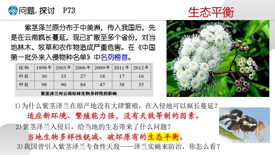 3-5 生态系统的稳定性ppt课件-2022新人教版（2019）《高中生物》选择性必修第二册.pptx_第3页