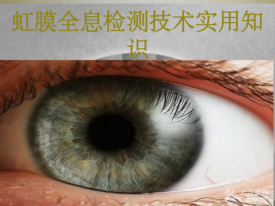 第三章虹膜全息检测技术实用知识课件.ppt_第1页