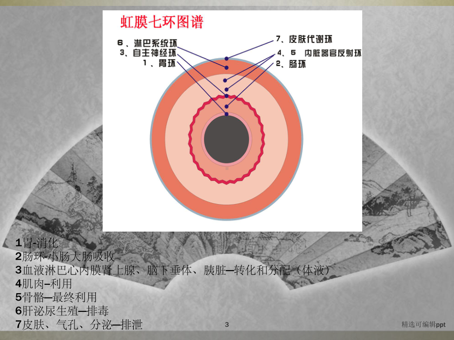 第三章虹膜全息检测技术实用知识课件.ppt_第3页