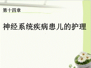 神经系统疾病患儿护理课件.ppt