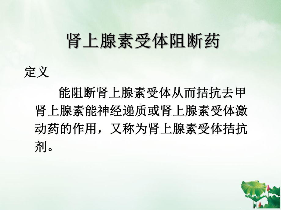 肾上腺素受体阻断药完整讲课课件.ppt_第3页