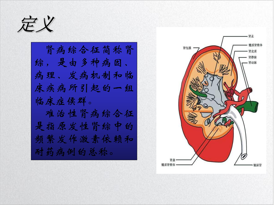 肾病综合征中西医结合治疗策略课件.ppt_第3页