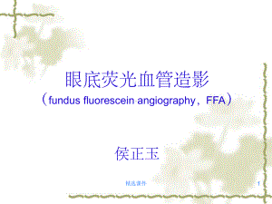 眼底荧光血管造影术(FFA)总论课件整理.ppt