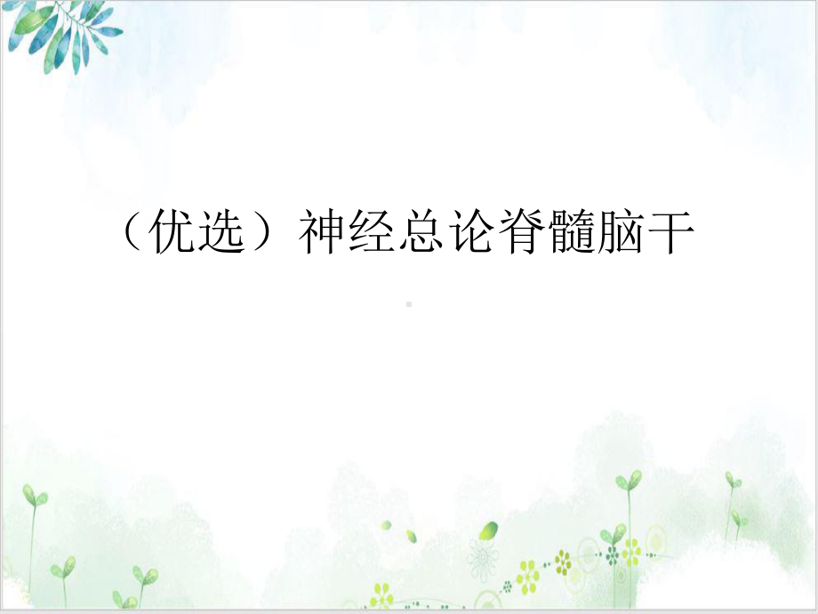 神经总论脊髓脑干培训讲义课件.ppt_第2页