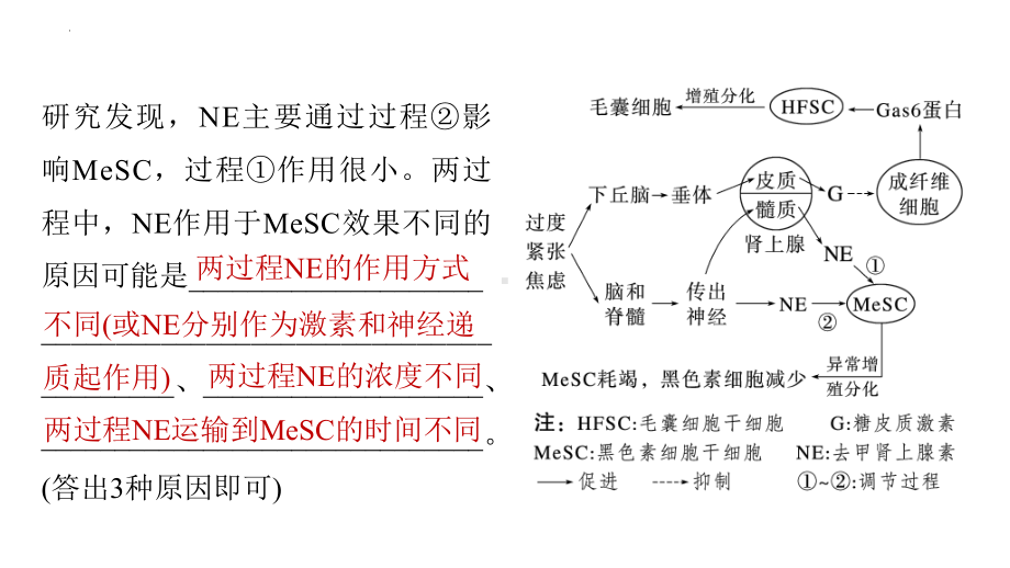 2022新人教版（2019）《高中生物》选择性必修第二册一轮复习（ppt课件）：个体稳态中相关过程变化机理分析.pptx_第3页