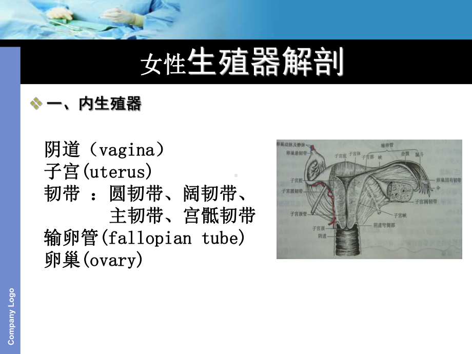 经腹次全子宫切除术护理查房课件.ppt_第2页