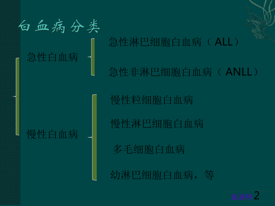 淋巴细胞性白血病的护理查房课件.ppt_第2页