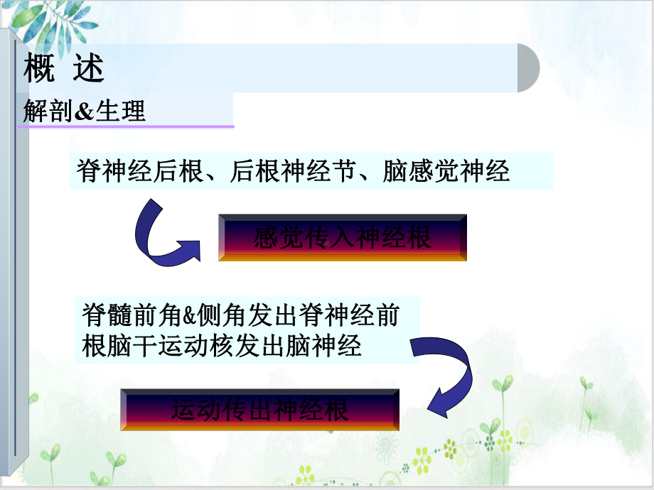 第神经内科本科第十五章周围神经疾病培训课程课件.ppt_第3页