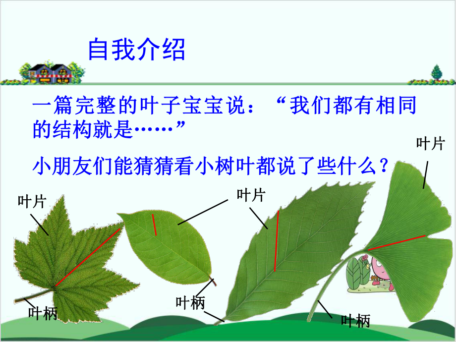 粤教版《植物的叶》教学1课件.pptx_第2页