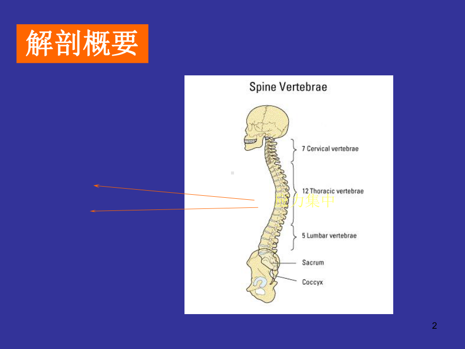 腰椎间盘突出症h课件.ppt_第2页