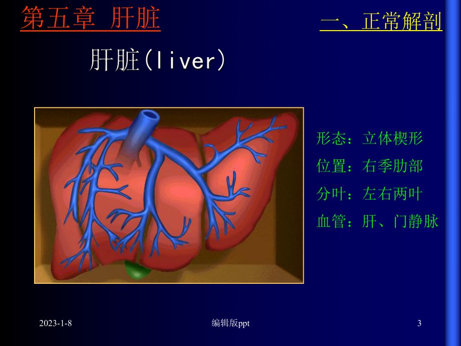 超声诊断学肝脏课件.ppt_第3页