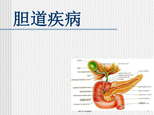 胆道疾病全析讲解课件.ppt