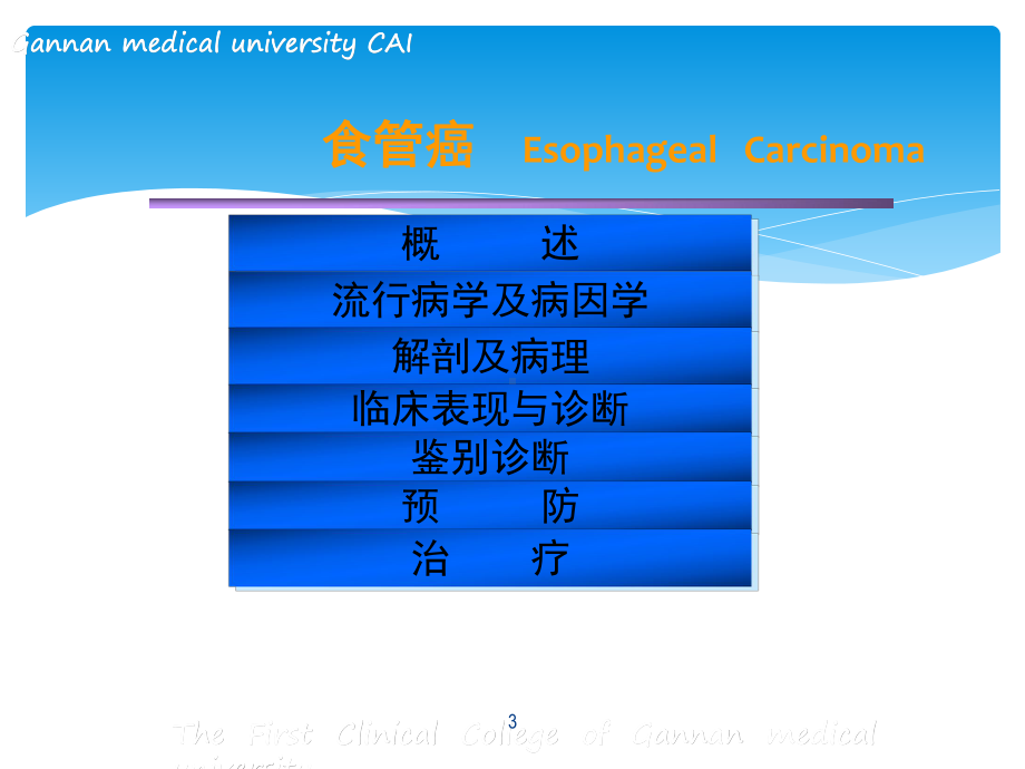 食管癌病课件.ppt_第3页