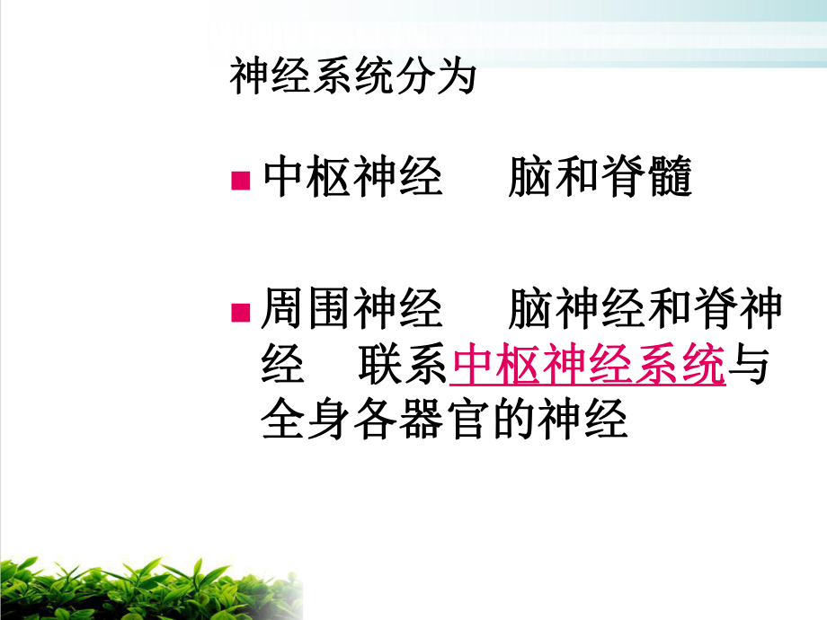 生理学第九章神经系统课件.ppt_第2页