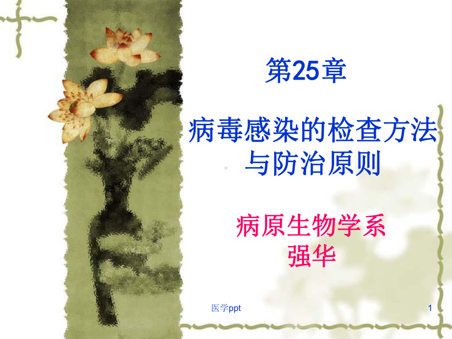 病毒感染的检查防治课件.ppt_第1页