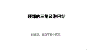 颈部的三角及淋巴结课件.ppt