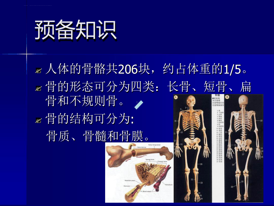 骨折概论经典教学课件.ppt_第3页