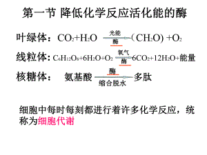 2022新人教版（2019）《高中生物》必修第一册5.1.1降低化学反应活化能的酶（ppt课件）.pptx