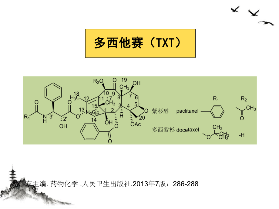 紫杉类抗肿瘤药物特点及临床合理应用课件.pptx_第3页