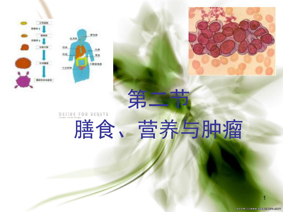 膳食营养和肿瘤课件.ppt_第1页