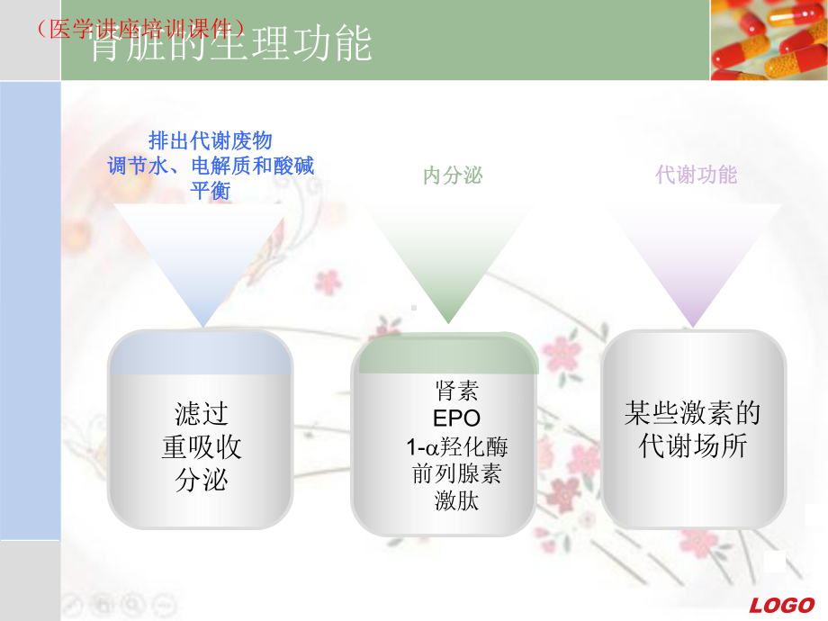 肾脏疾病常见症状及诊断(医学讲座培训课件).ppt_第3页