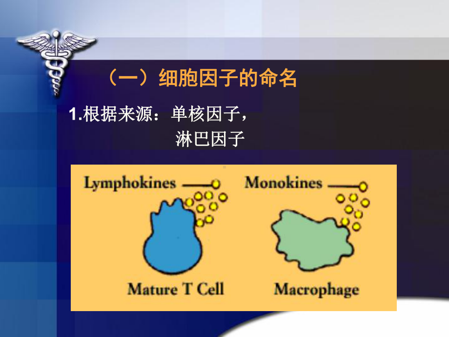 肺腺癌同源正常组织中差异表达基因的克隆课件.pptx_第3页