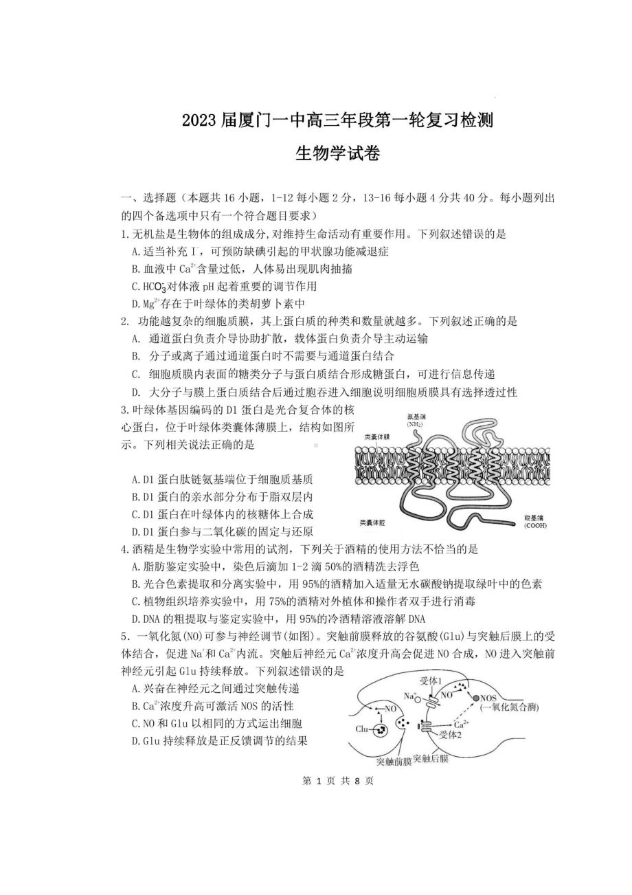 福建省厦门1中2023届高三上学期12月月考生物试卷+答案.pdf_第1页