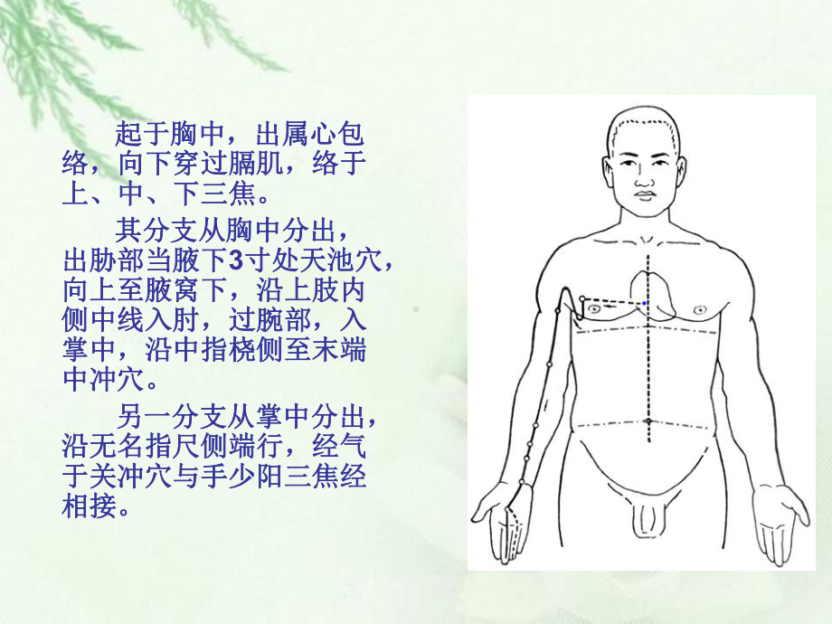 10手厥阴心包经课件.ppt_第3页