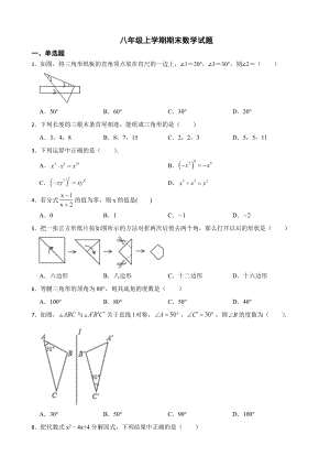 广东省广州市番禺区2022年八年级上学期期末数学试题（附答案）.pdf