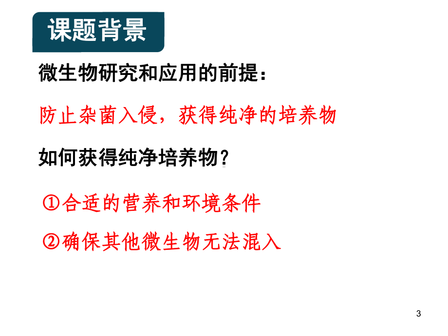 21微生物的实验室培养1课件.pptx_第3页