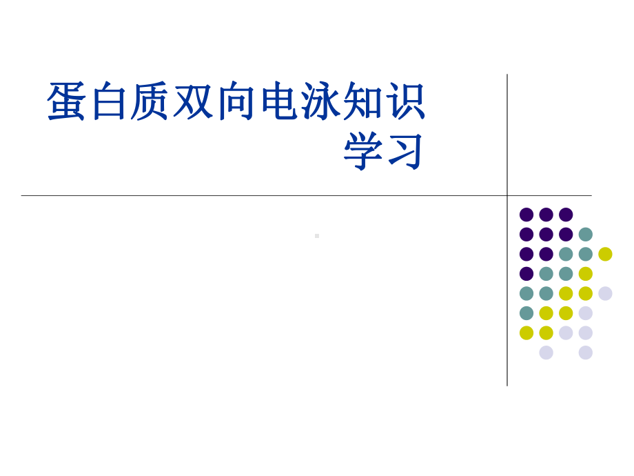 XX生物技术公司蛋白质双向电泳知识学习课件.ppt_第1页