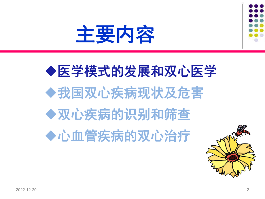 -双心治疗--参考课件.ppt_第2页