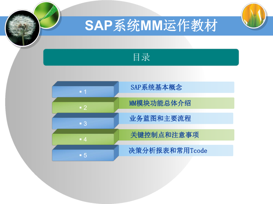 SAP-MM模块培训教材课件.ppt_第2页