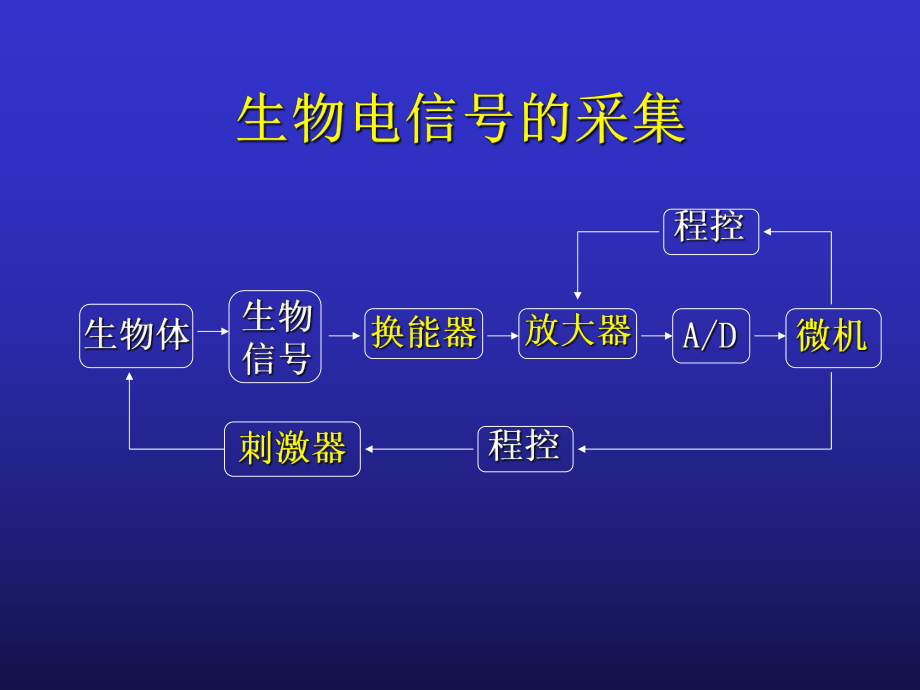 A神经干动作电位课件.ppt_第2页