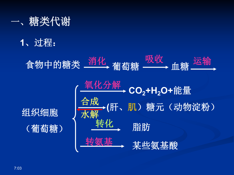 7营养物质的转变剖析课件.ppt_第3页