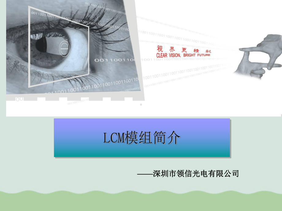 LCM模组简介培训课件(-).ppt_第2页