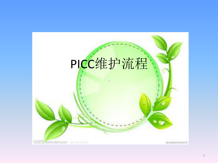 PICC维护流程教学课件.pptx_第1页