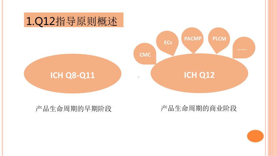 ICH-Q12产品生命周期管理的技术和法规考虑课件.pptx_第3页