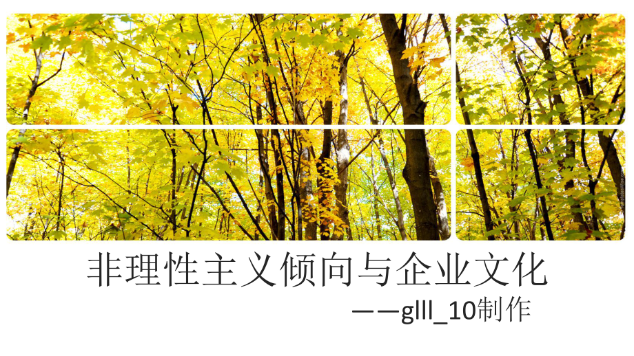 glll10非理性主义倾向及企业文化课件.ppt_第1页