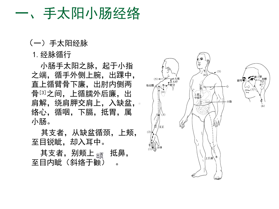 07手太阳小肠经课件.ppt_第2页