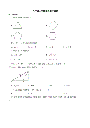 广东省惠州市2022年八年级上学期期末数学试题及答案.docx