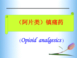 (阿片类)镇痛药课件.ppt