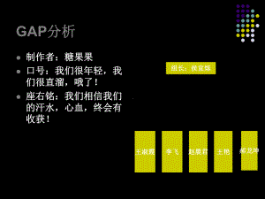 GAP的案例分析课件.ppt